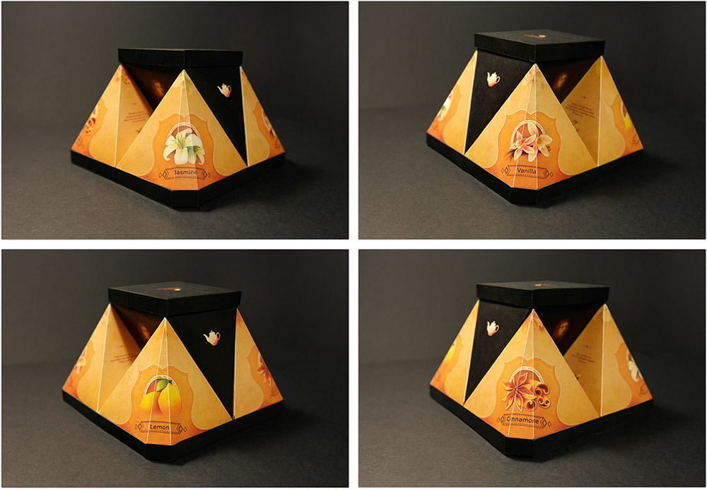 云南茶葉包裝設(shè)計(jì)參考(圖4)