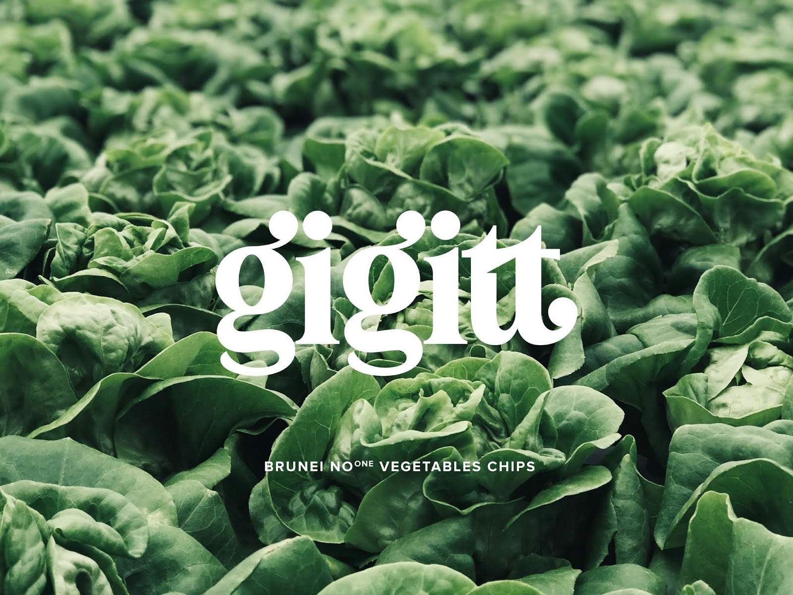 蔬菜干零食包裝設(shè)計(圖2) 蔬菜干零食包裝設(shè)計(圖2)