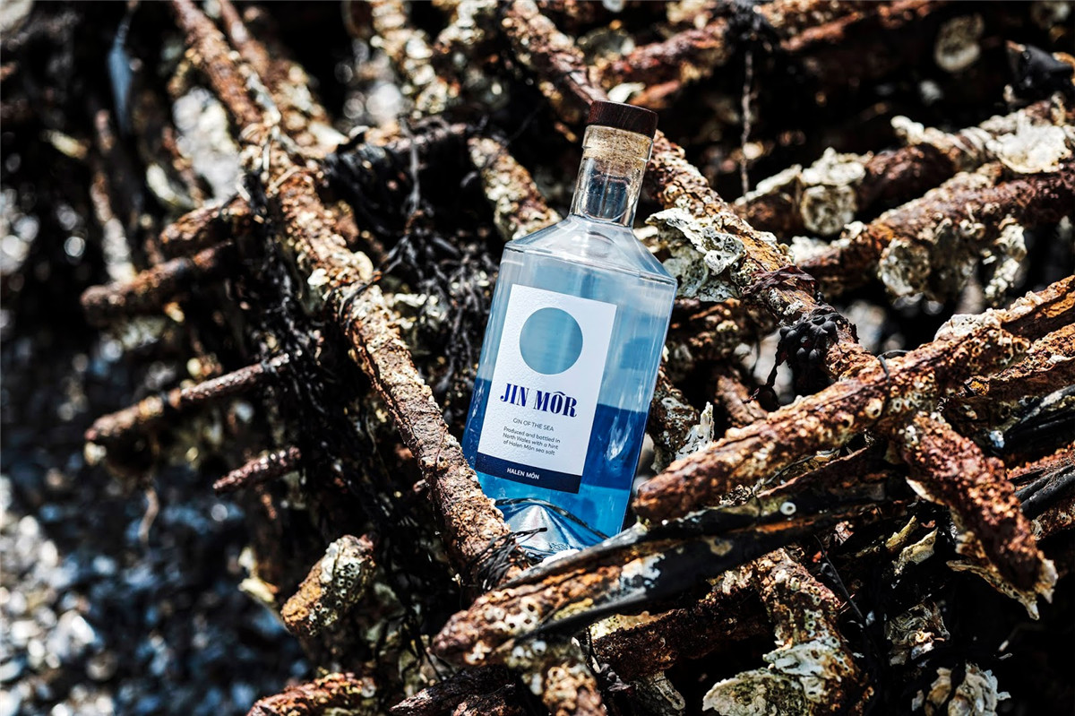 光瓶酒包裝設(shè)計(jì)(圖4) 光瓶酒包裝設(shè)計(jì)(圖4)