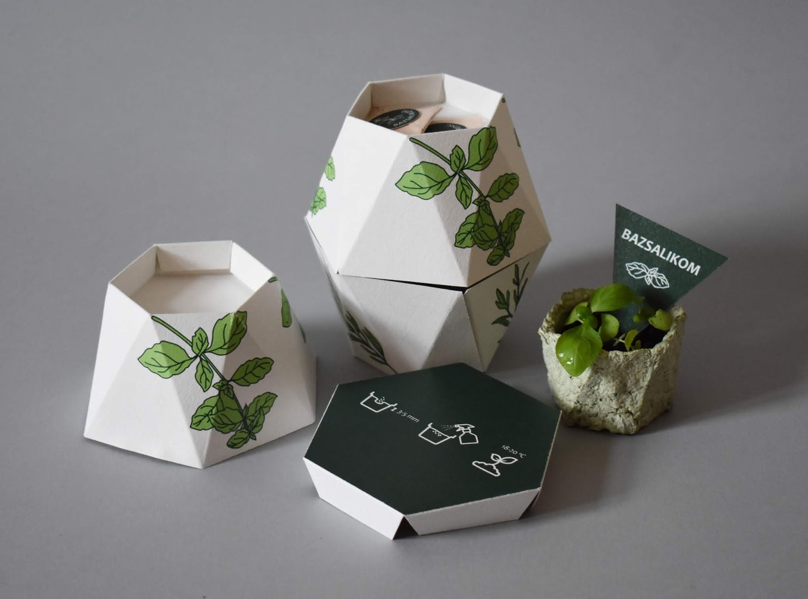 鮮花種子禮盒包裝設(shè)計(jì)(圖1)