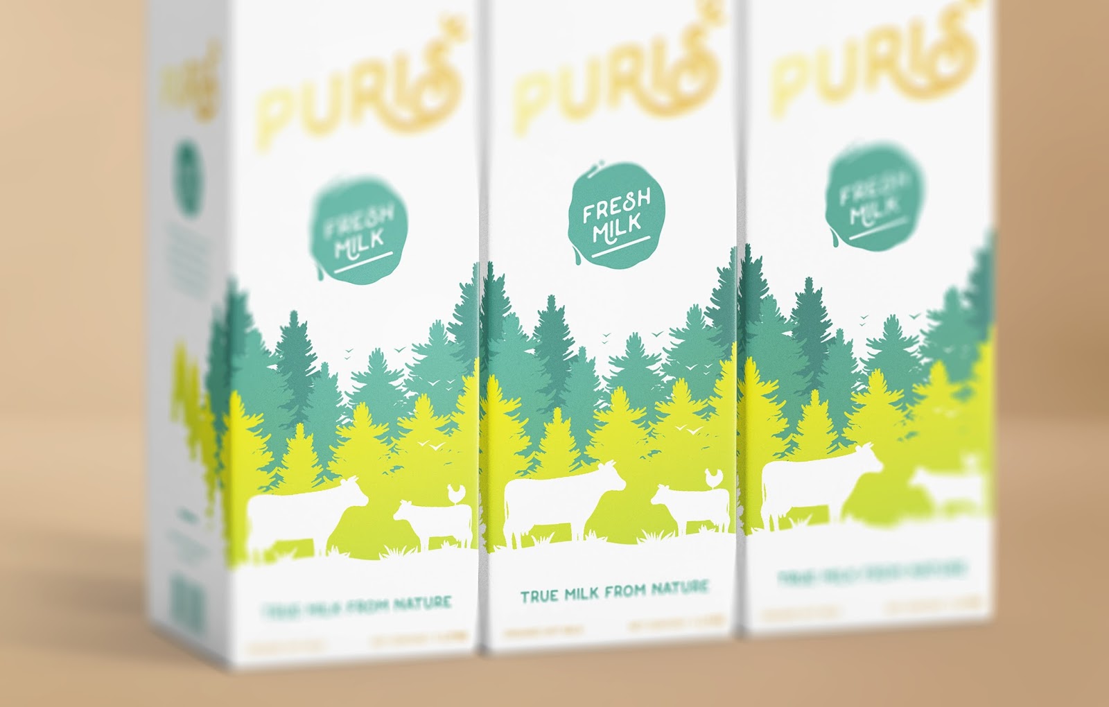 煙臺(tái)牛奶包裝設(shè)計(jì)(圖4)