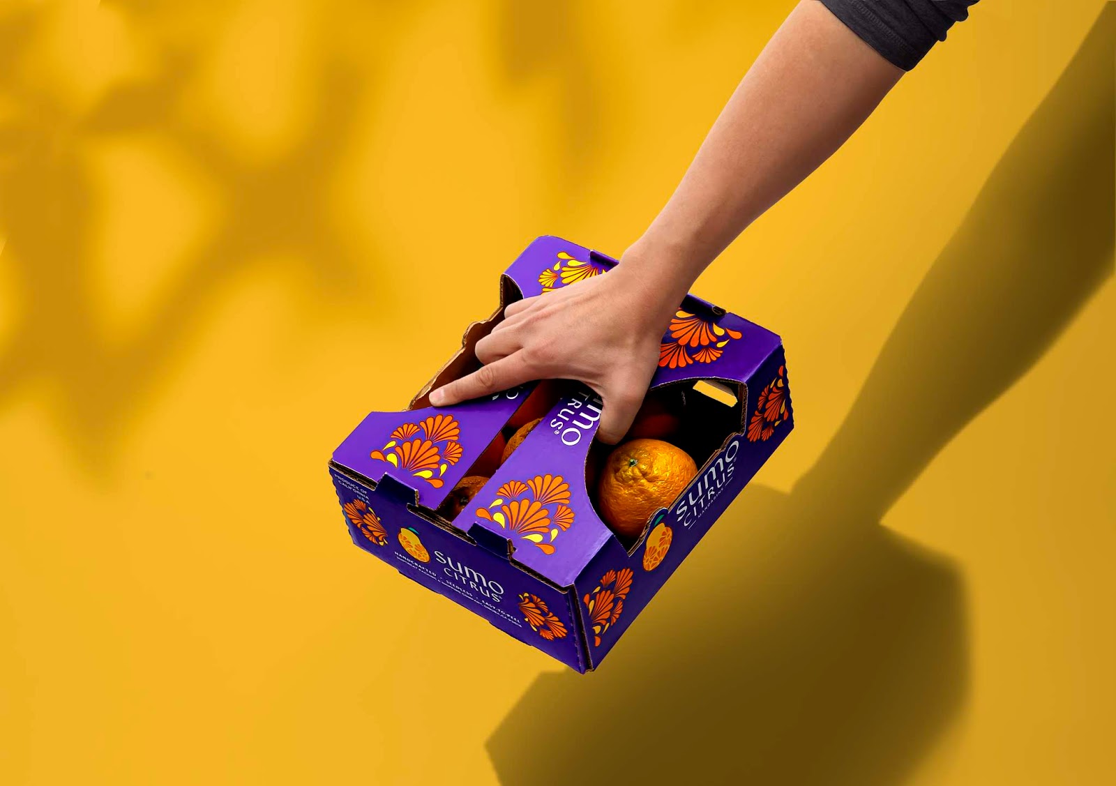 包頭水果品牌包裝設(shè)計(jì)非常有吸引力(圖3)