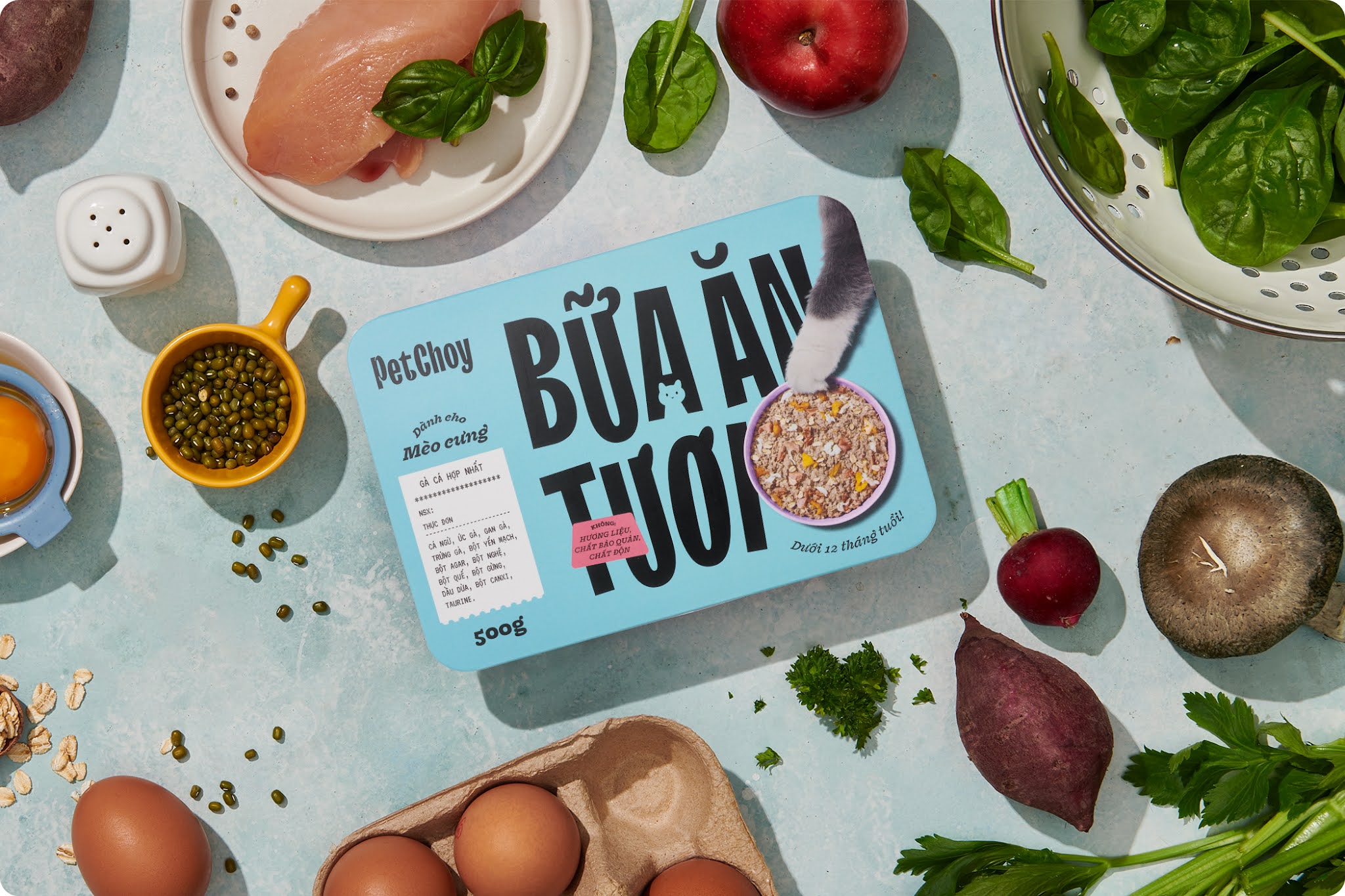 寵物包裝設(shè)計(jì)欣賞食品狗糧包裝設(shè)計(jì)欣賞貓糧包裝設(shè)計(jì)欣賞包裝設(shè)計(jì)全套(圖26)