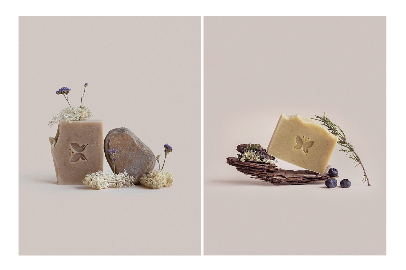 能讓人想起傳統(tǒng)的植物學(xué)書(shū)籍的護(hù)膚品包裝設(shè)計(jì)(圖10)