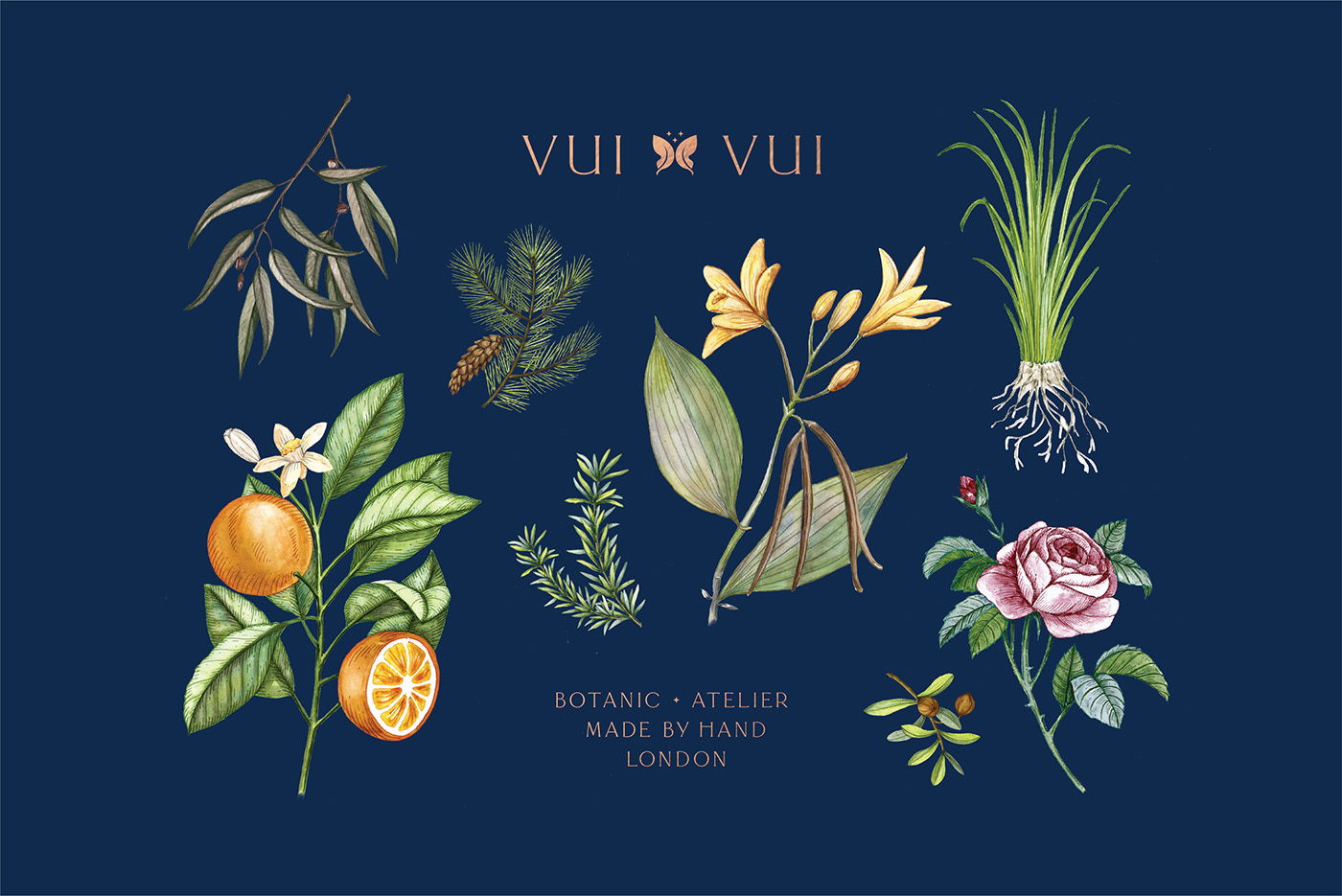 能讓人想起傳統(tǒng)的植物學(xué)書(shū)籍的護(hù)膚品包裝設(shè)計(jì)(圖8)