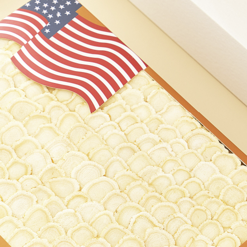 PRESIDENT BRAND 花旗參 500g保健產(chǎn)品包裝創(chuàng)意設(shè)計(jì)欣賞(圖4)