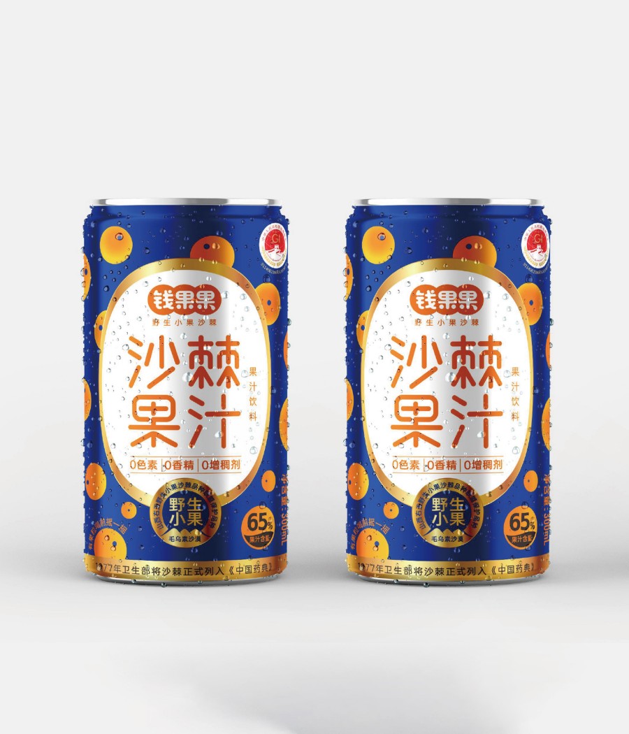 錢(qián)果果野生小果沙棘品牌包裝策劃設(shè)計(jì)(圖2)