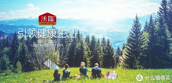 沃隆品牌故事-logo設(shè)計(jì)分析(圖1)