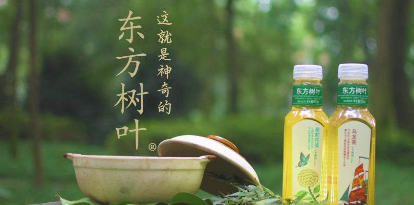 東方樹(shù)葉 東方樹(shù)葉品牌logo與食品包裝設(shè)計(jì)欣賞(圖3)