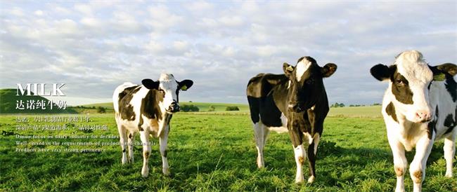 DANUO達(dá)諾乳業(yè)品牌logo與食品包裝設(shè)計(jì)欣賞(圖3)