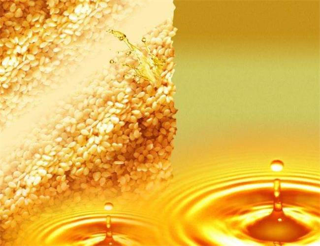 天助品牌logo與食品包裝設(shè)計(jì)欣賞(圖2)