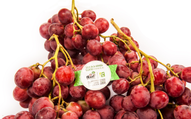 康樂(lè)欣蔬菜 康樂(lè)欣品牌logo與食品包裝設(shè)計(jì)欣賞(圖3)