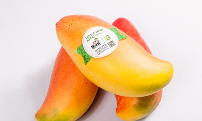 康樂(lè)欣蔬菜 康樂(lè)欣品牌logo與食品包裝設(shè)計(jì)欣賞(圖4)