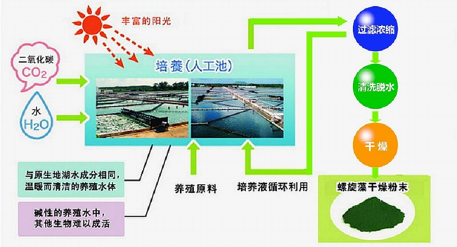 迪愛生 DIC迪愛生品牌logo與食品包裝設(shè)計(jì)欣賞(圖3)