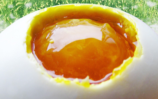 Tenge田歌品牌logo與食品包裝設(shè)計欣賞(圖2)