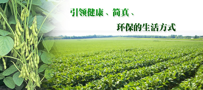 福蔭豆腐 FUYIN福蔭品牌logo與食品包裝設(shè)計(jì)欣賞(圖4)