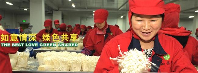 如意情品牌logo與食品包裝設計欣賞(圖4)