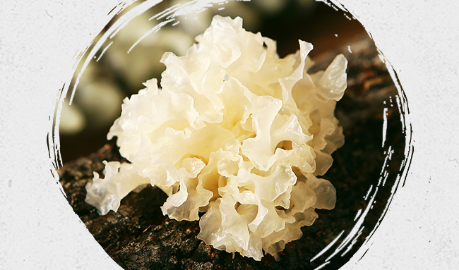 山霸王 山霸王品牌logo與食品包裝設(shè)計欣賞(圖2)