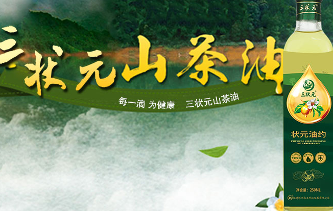 三狀元品牌logo與食品包裝設(shè)計(jì)欣賞(圖2)