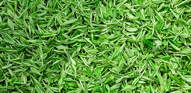 金潤茶業(yè) 金潤茶業(yè)品牌logo與食品包裝設(shè)計欣賞(圖2)