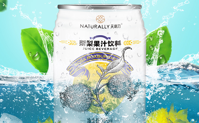 天刺力品牌logo與食品包裝設(shè)計欣賞(圖2)