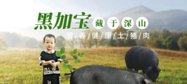 斯寶帝 SBODY斯寶帝品牌logo與食品包裝設(shè)計(jì)欣賞(圖3)