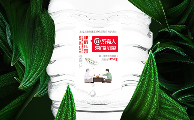 峨眉鈺泉 峨眉鈺泉品牌logo與食品包裝設(shè)計(jì)欣賞(圖2)