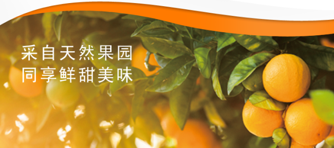 同發(fā)罐頭 TONGFA同發(fā)食品包裝設(shè)計(jì)欣賞(圖2)