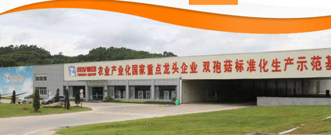 同發(fā)罐頭 TONGFA同發(fā)食品包裝設(shè)計(jì)欣賞(圖3)