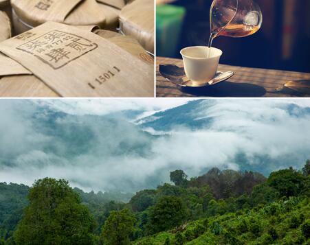 大益茶食品包裝設(shè)計欣賞(圖3) 大益茶食品包裝設(shè)計欣賞(圖3)