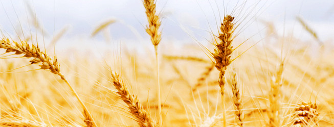 HR恒銳食品包裝設計欣賞(圖2)