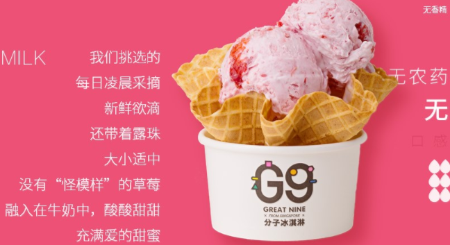 G9食品包裝設(shè)計(jì)欣賞(圖3)