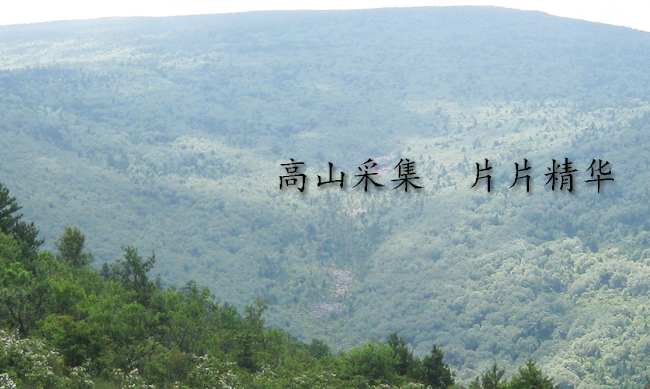 藥王茶 YAOWANGTEA藥王茶食品包裝設(shè)計欣賞(圖4)