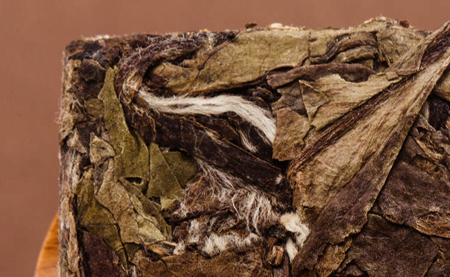 大灣頭白茶 大灣頭食品包裝設(shè)計(jì)欣賞(圖4)