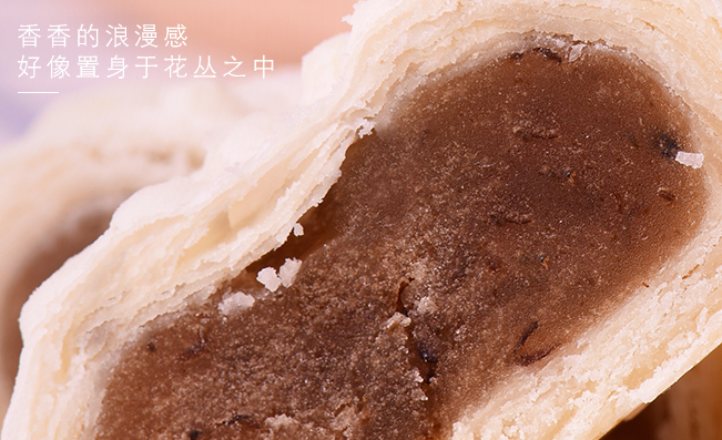 桂發(fā)祥 桂發(fā)祥食品包裝設計欣賞(圖3)