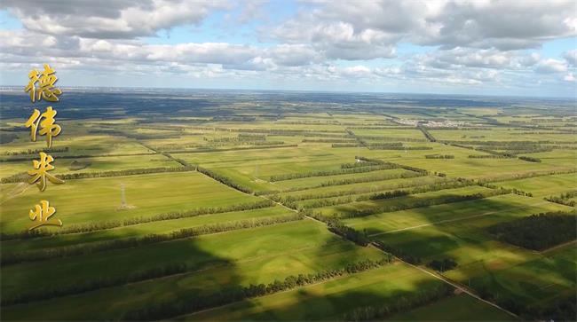 徳偉 徳偉食品包裝設(shè)計(jì)欣賞(圖2)