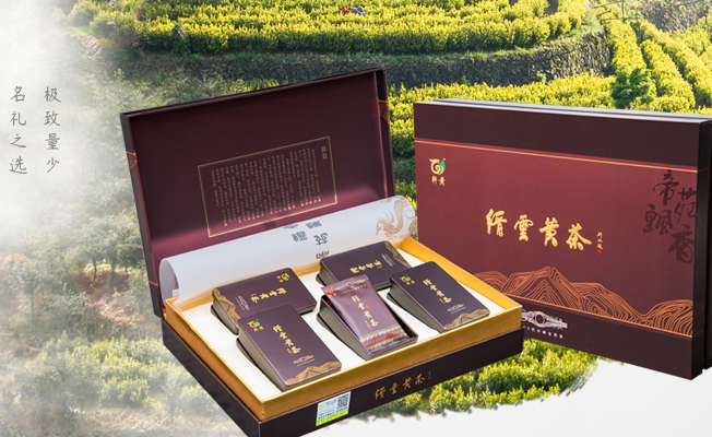 軒黃食品包裝設計欣賞(圖2)