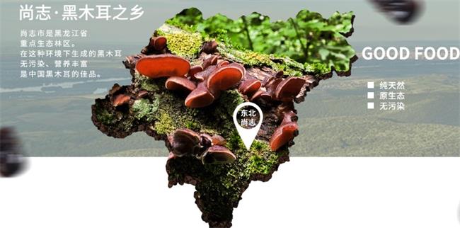 珍珠山食品包裝設(shè)計(jì)欣賞(圖3)