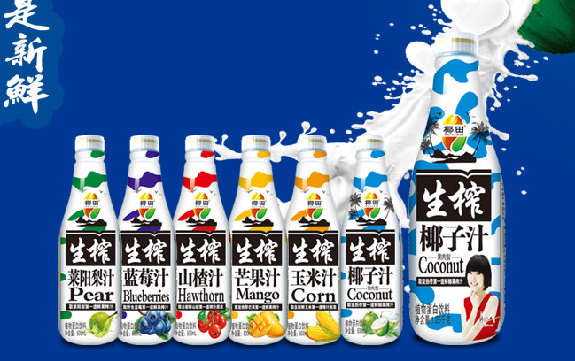 椰田 椰田食品包裝設(shè)計(jì)欣賞(圖4)