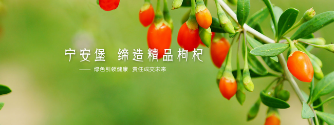 寧安堡食品包裝設(shè)計(jì)欣賞(圖3)