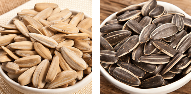 童年記食品 童年記食品包裝設(shè)計(jì)欣賞(圖3)